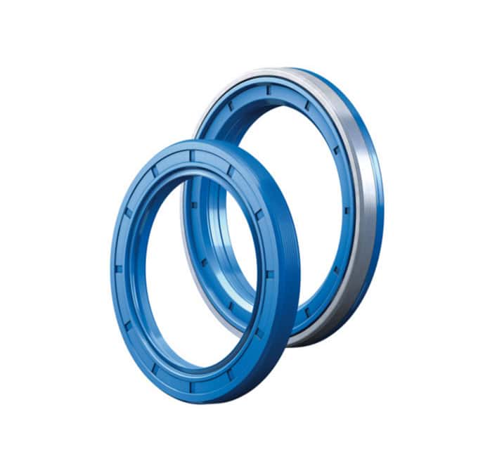High Pressure High Temperature (HPHT) Seal Rings